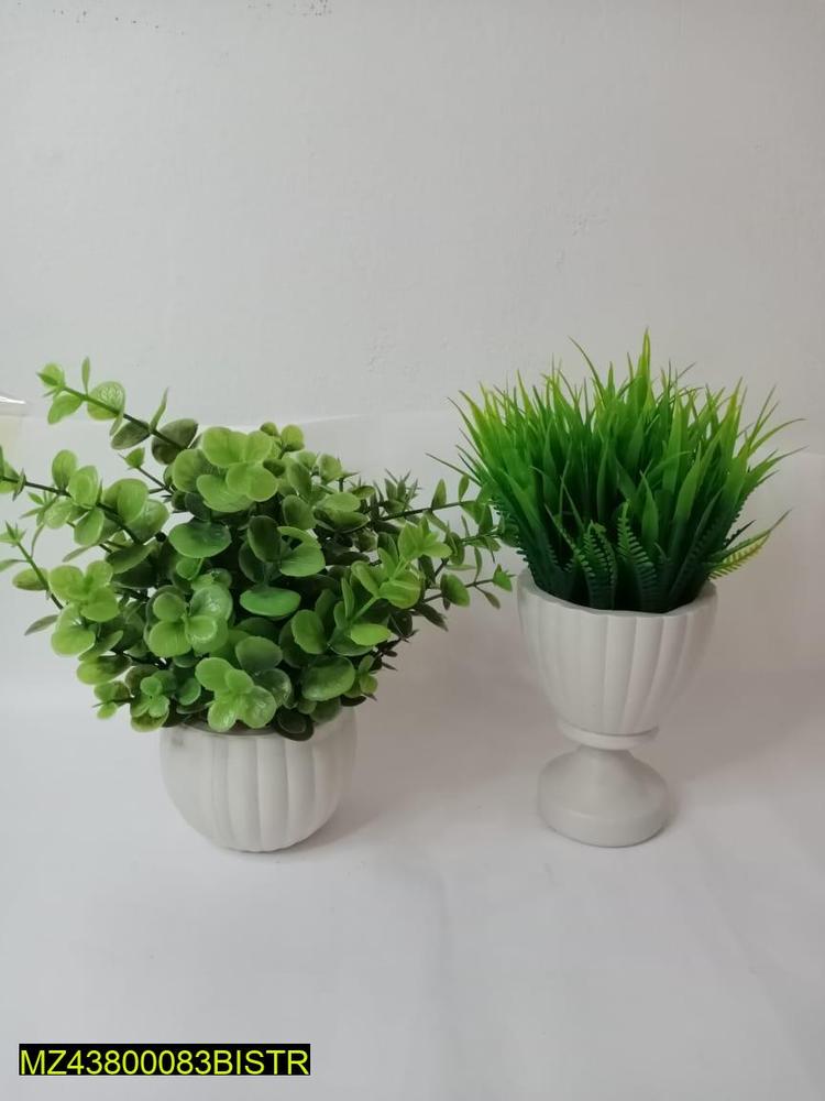 Plastic Artificial Plants for Decoration - Pack of 2